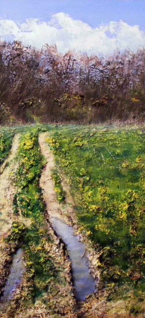 Rural road after spring rain by Ivan  Grozdanovski