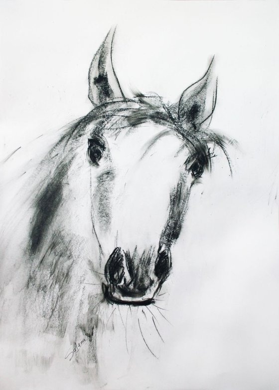 Horse... Quick portrait  /  ORIGINAL PAINTING