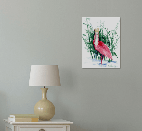 Roseate Spoonbill