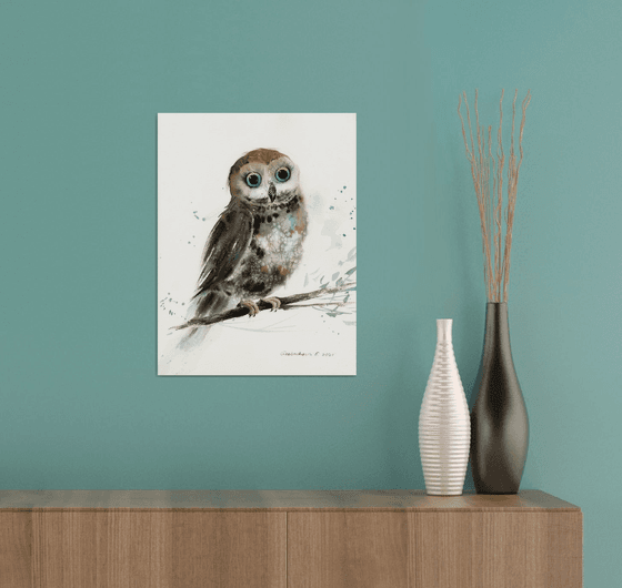 Little owl on a branch #7