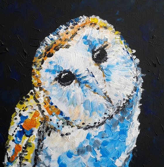 "Curious barn Owl"