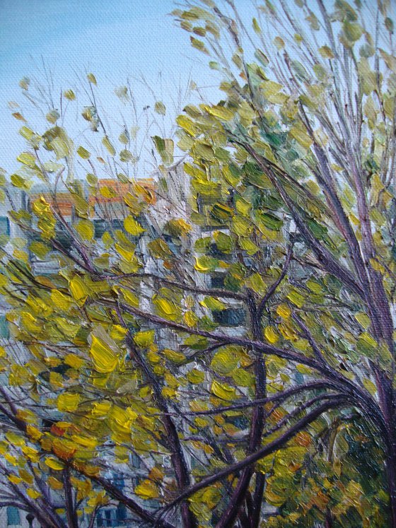 Yellow autumn