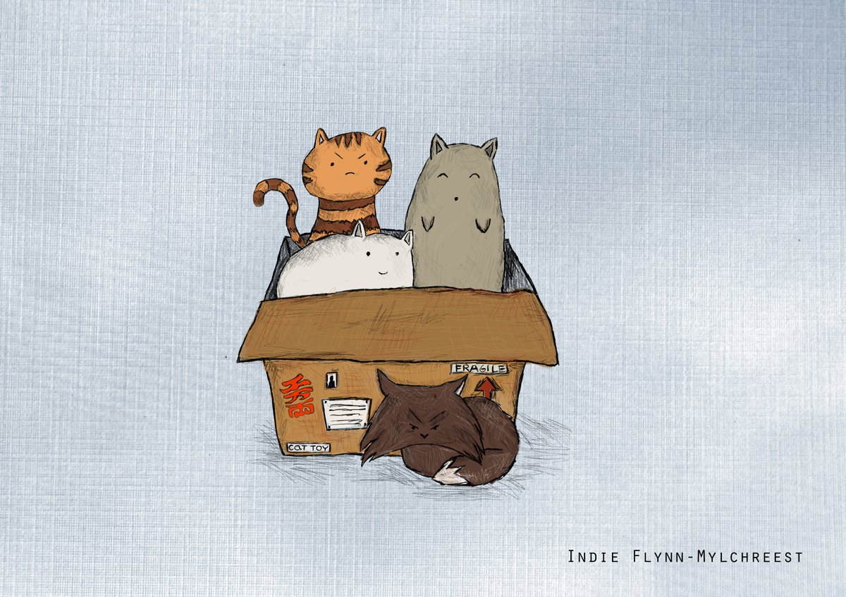 Cat Box by Indie Flynn-Mylchreest of MeriLine Art