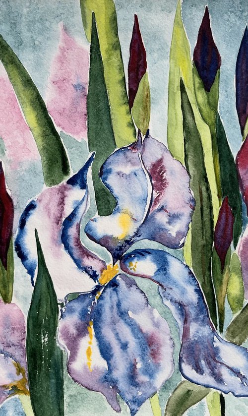 Irises Original Watercolor Art by Halyna Kirichenko