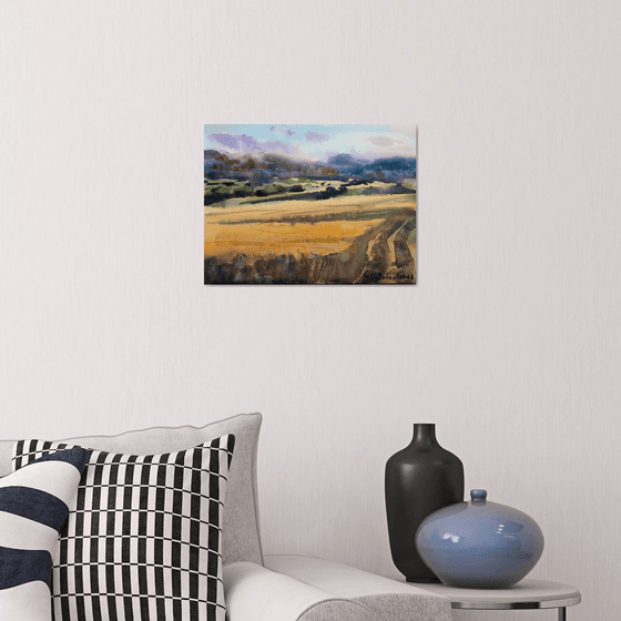 Ukrainian fields
