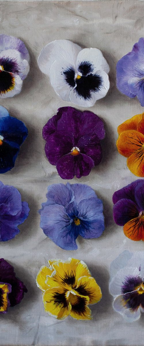 12 pansies 01 by Davit Davtyan