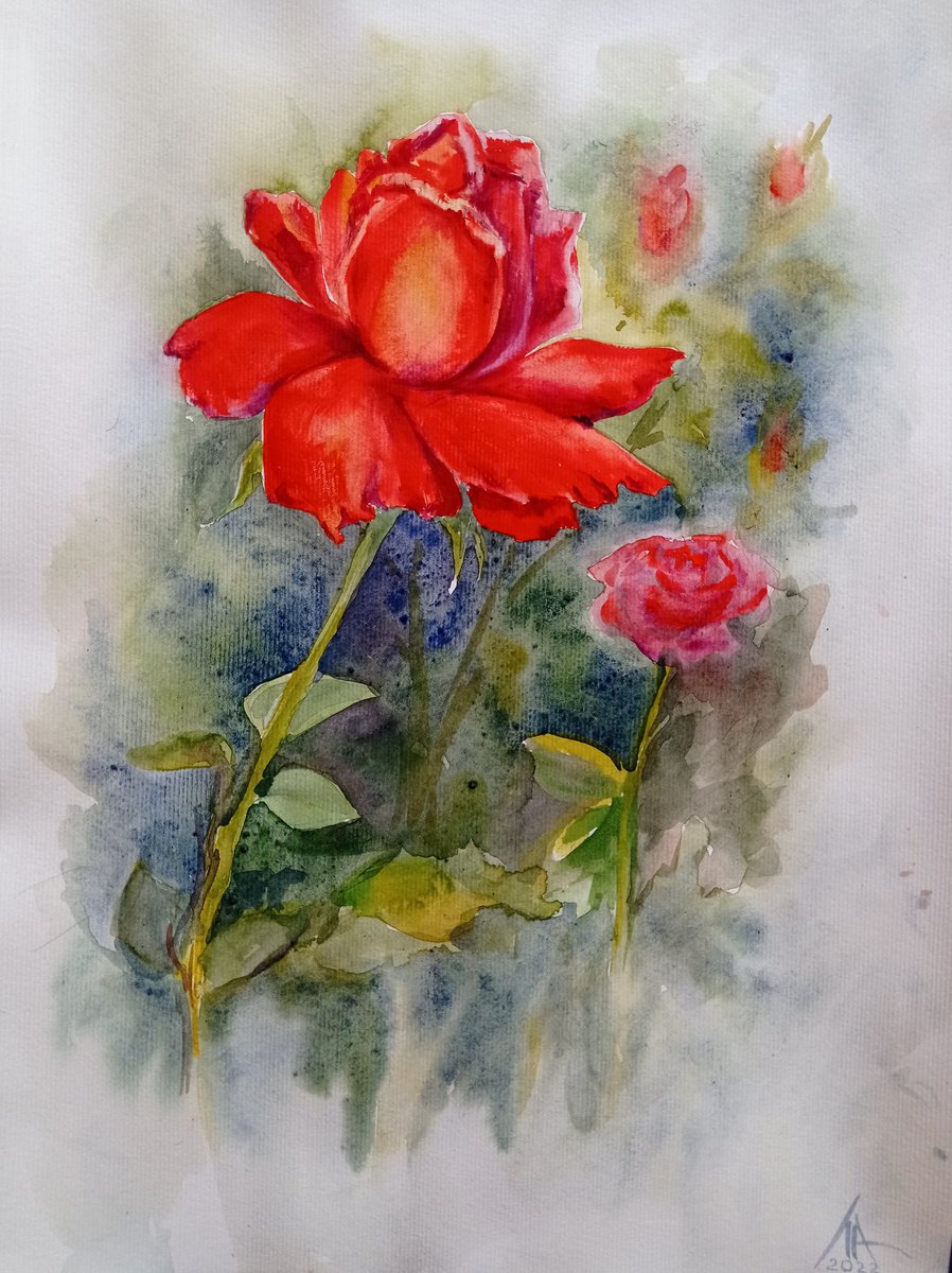 Graphic Watercolour , Red Rose By Liubov Ponomarova, 12 X 16, Artwork For Sale On Artfinder