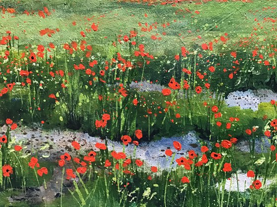 Poppy Field