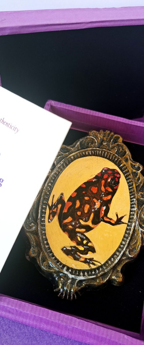 Harlequin poison dart frog, part of framed animal miniature series "festum animalium" by Andromachi Giannopoulou