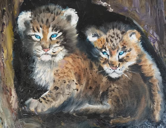 Lynx Cubs