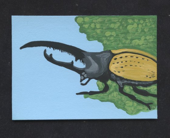 ACEO ATC Original Miniature Painting Insect Hercules Beetle Wildlife Bug Art-Carla Smale