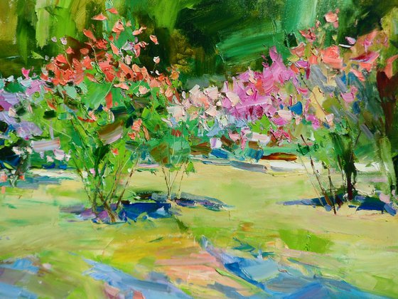 "Rose garden "
