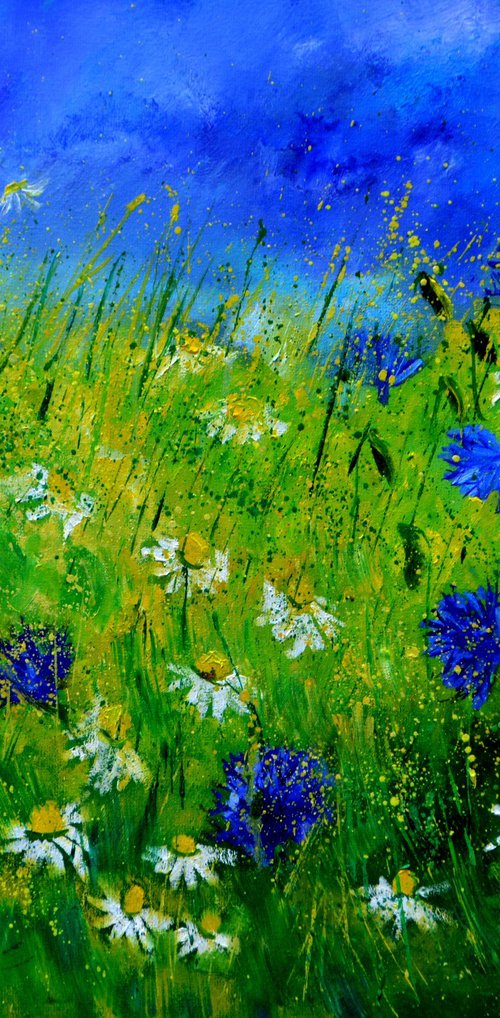 Cornflowers and daisies by Pol Henry Ledent