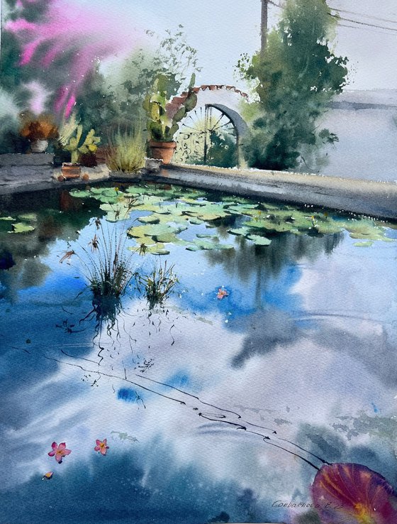 Pond with water lilies