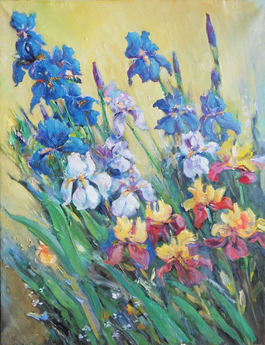 Impressionistic Botanical Oil Painting By Vyacheslav Onyshchenko, 28 X 35", Multi-Colored Irises, Original Artwork