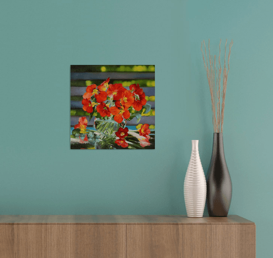 Nasturtium Flower, Sunlight