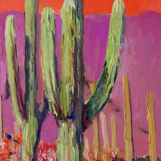Saguaro Catuses