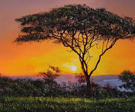 " Africa - Acacia tree " Special Price !!!