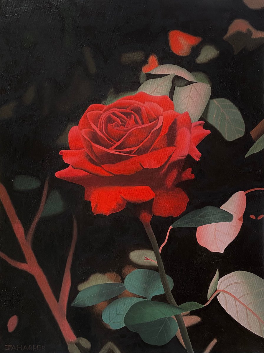 Single Red Rose Oil painting by Jill Ann Harper | Artfinder