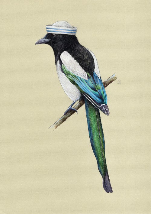 Eurasian magpie by Mikhail Vedernikov