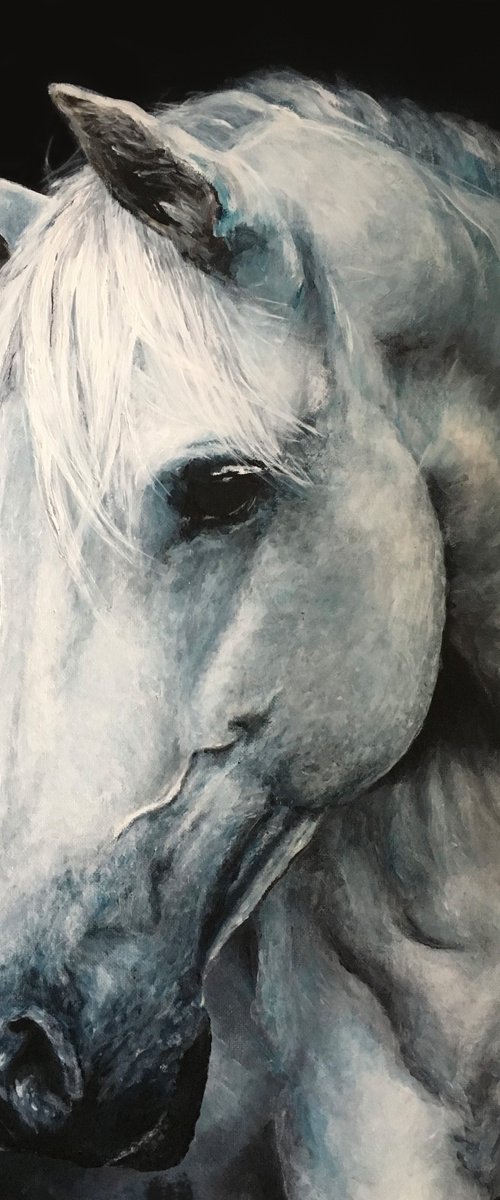 Horse, blue grey, original painting animal art by Paul Hardern