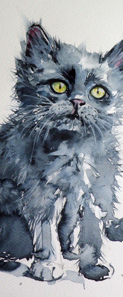 Little Cat by Kovács Anna Brigitta