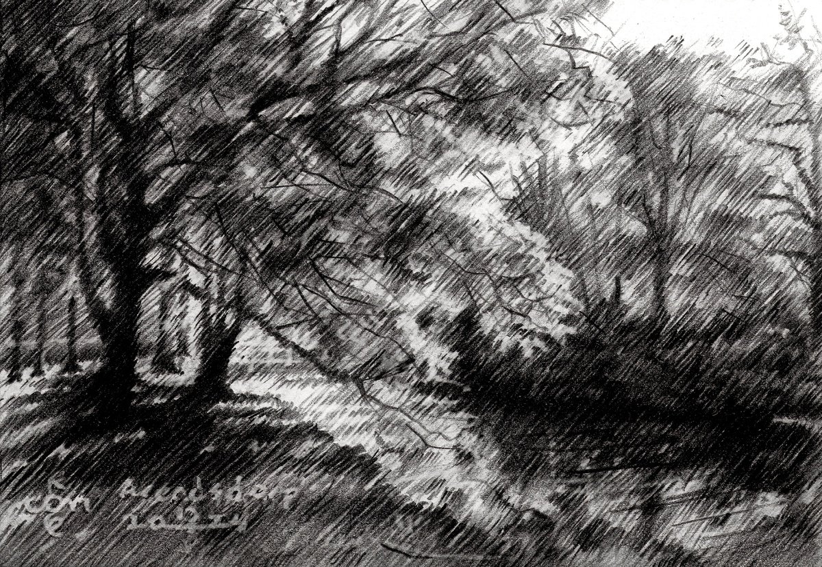 Impressionistic Landscape Pencil Drawing By Corne Akkers, 6 X 4, Arendsdorp - 17-05-24, Original Artwork