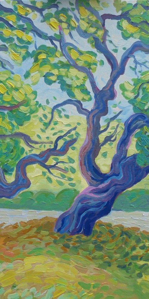 Cork oak trees near Zoo de castellar SOLD by Kirsty Wain