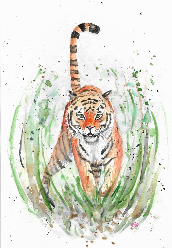 Tiger