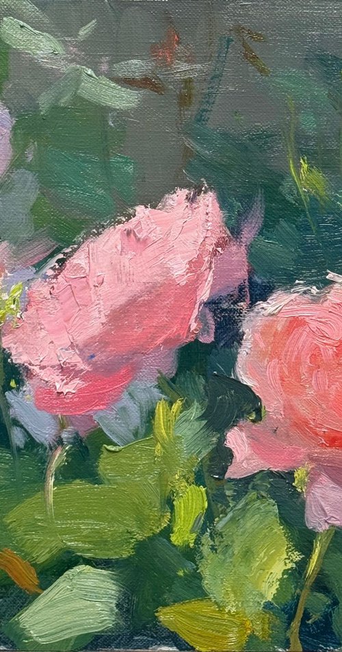 Strawberry Hill Roses by Alex James Long