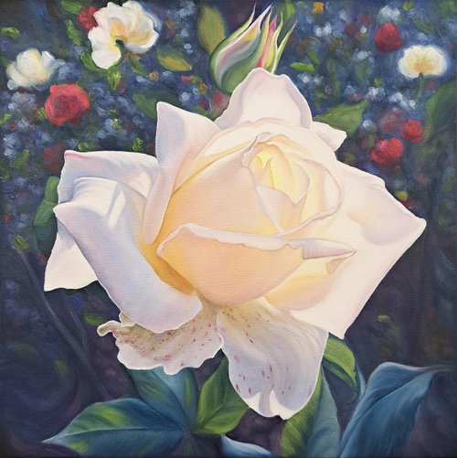 "Sunny rose", white rose painting, floral art by Anna Steshenko