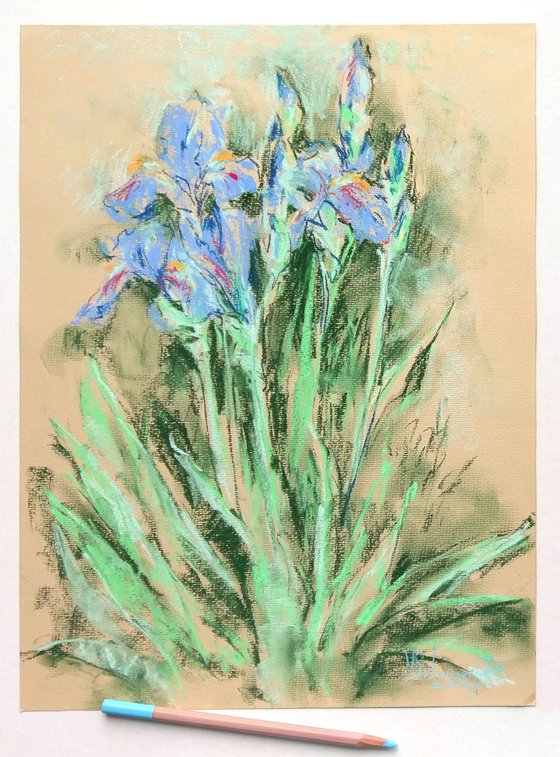 Flower power - Irises #2