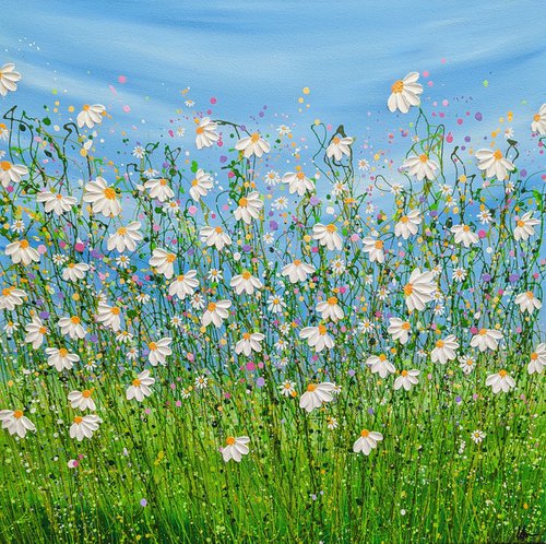 Daises in Bloom by Lucy Moore