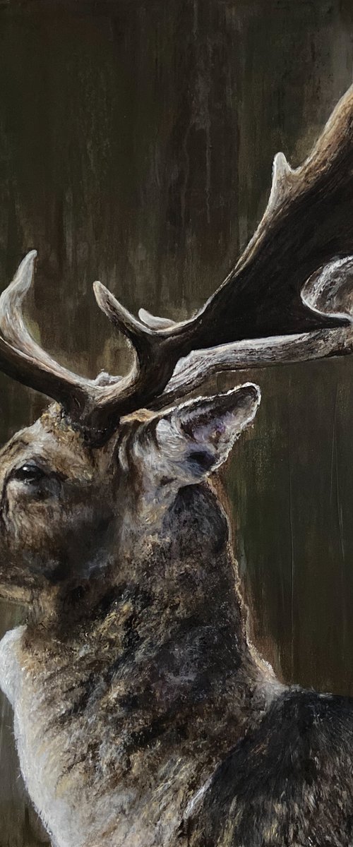 Shining Light, original painting by Paul Hardern