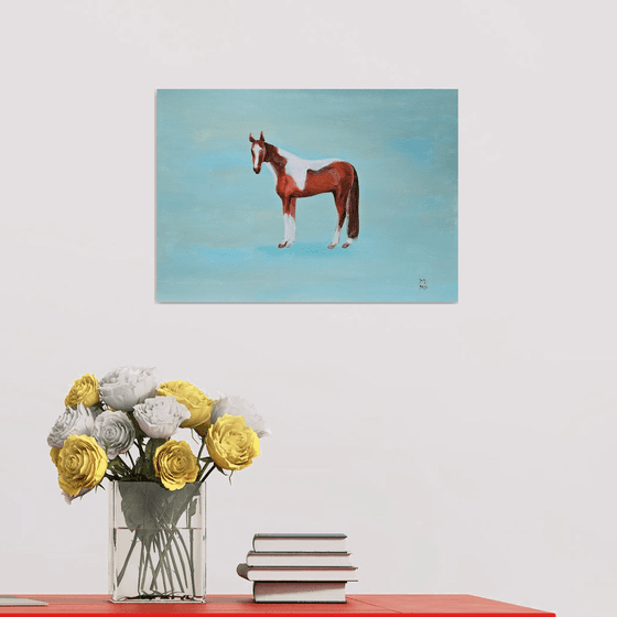 Pinto skewbald horse on blue