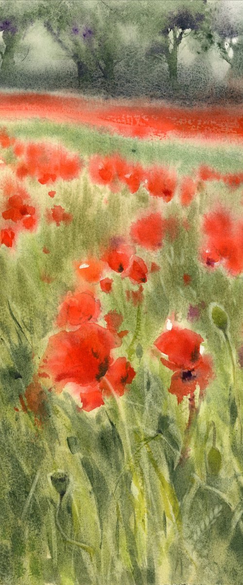 Coquelicot, 1. by Tatyana Tokareva