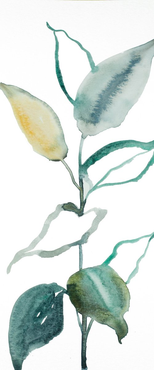 Plant Study No. 85 by Elizabeth Becker