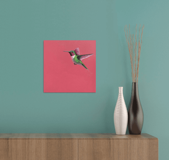 Anna's Hummingbird