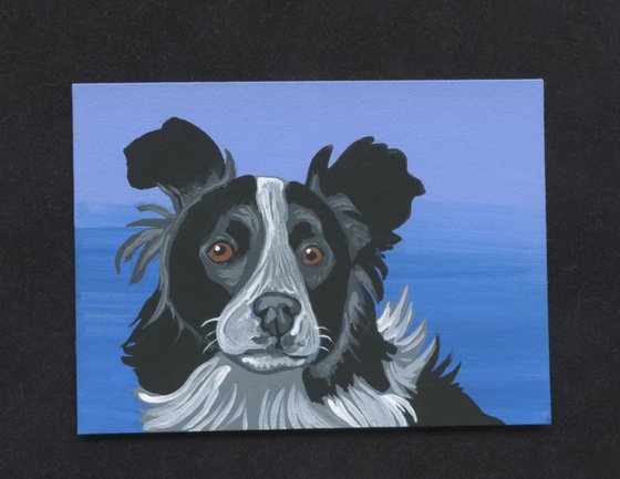 ACEO ATC Original Miniature Painting Border Collie Pet Dog Art-Carla Smale