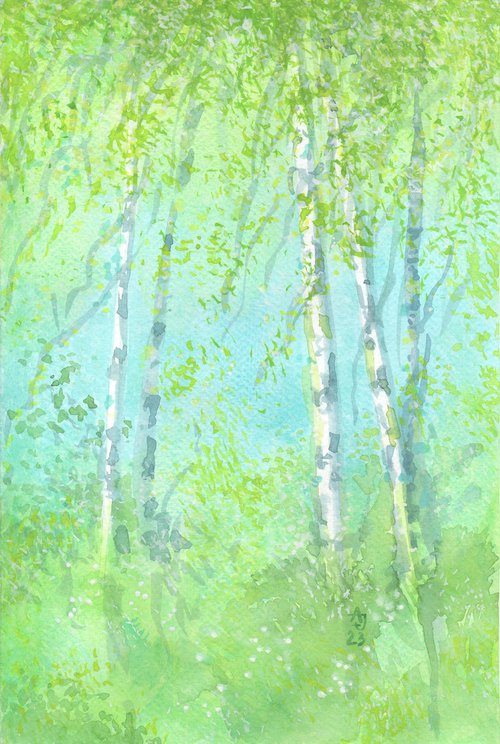 Spring birches by Jolanta Czarnecka