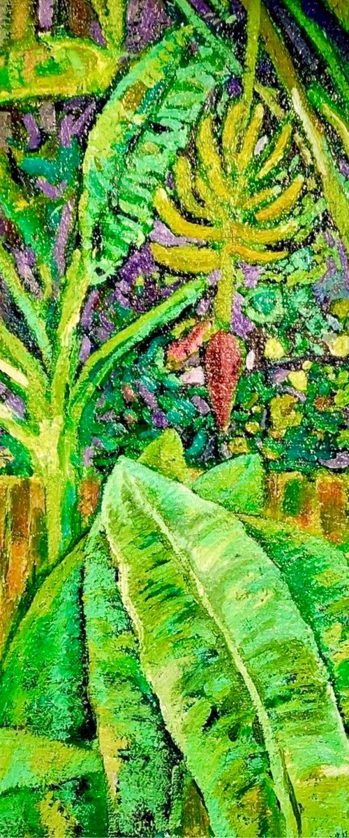 Banana Tree in Backyard by Joseph Roache