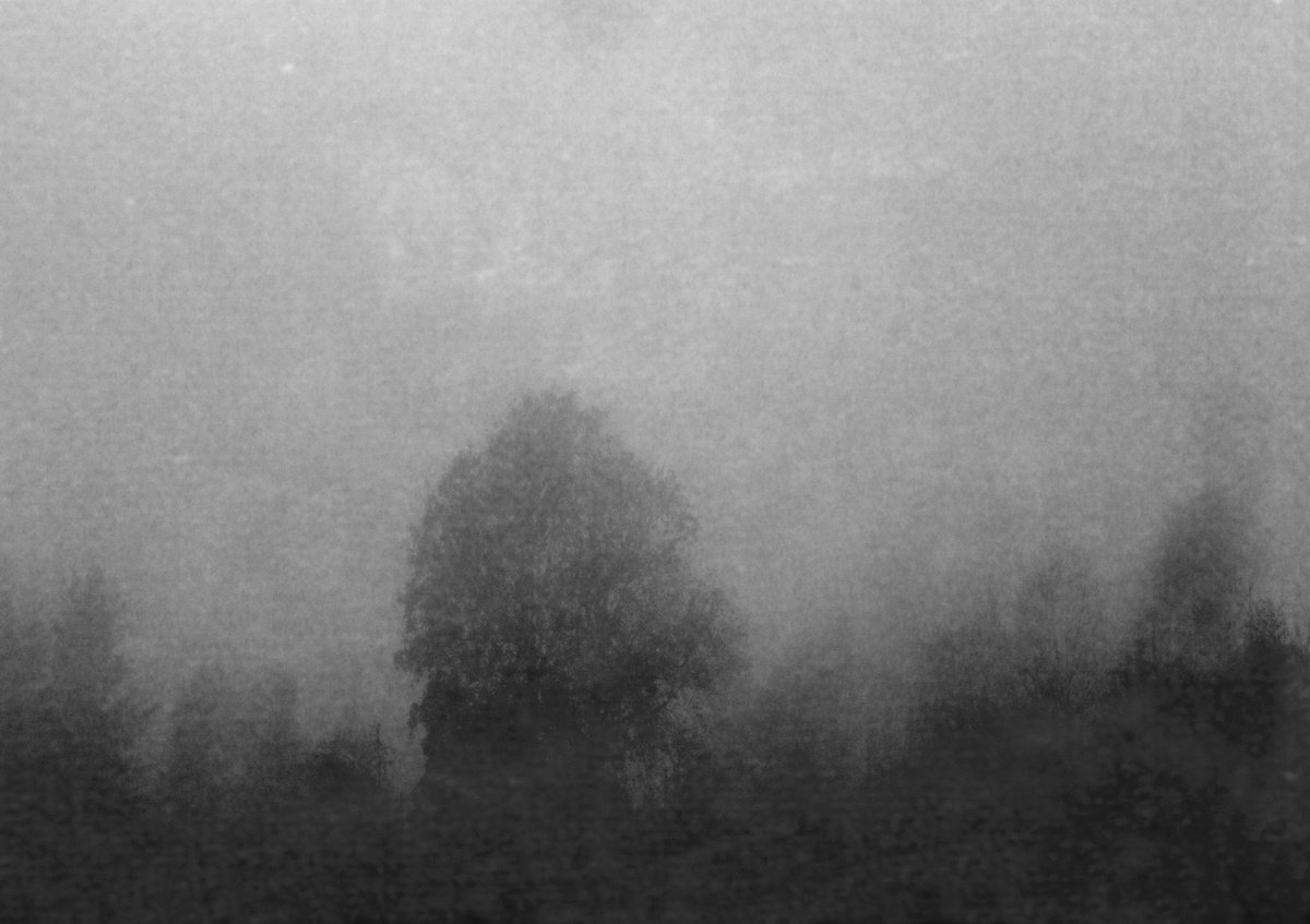 Impressionistic Landscape Photograph By Philippe Berthier, 28 X 20", Une Campagne Poetique....., Original Artwork