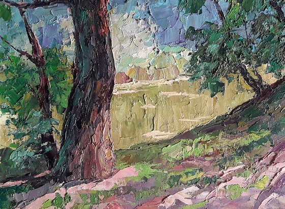 Shore in the forest