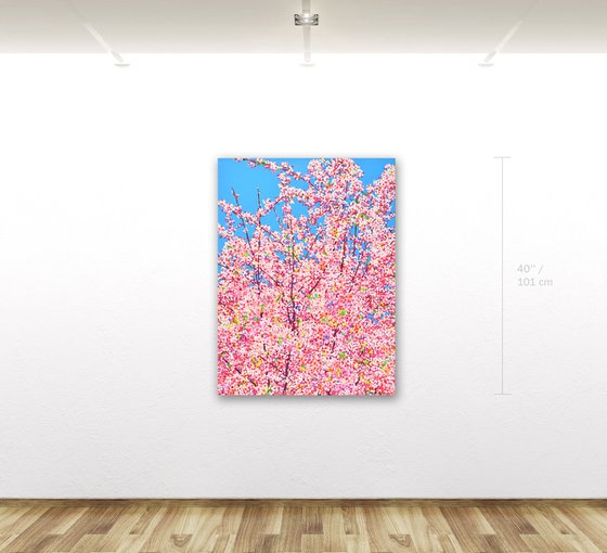 Cherry Blossom #12