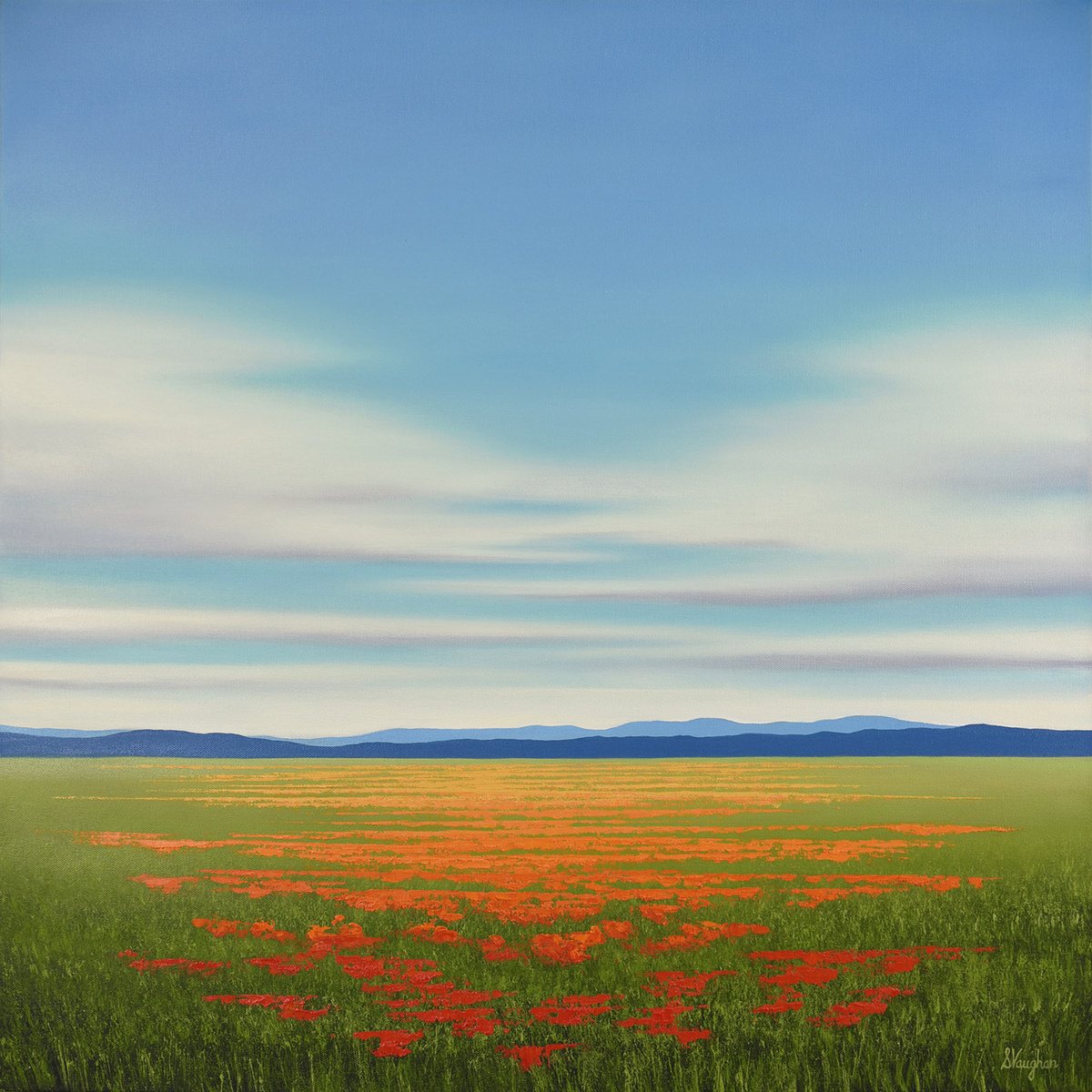 Impressionistic Landscape Oil Painting By Suzanne Vaughan, 30 X 30", Summer Poppies - Flower Field, Original Artwork