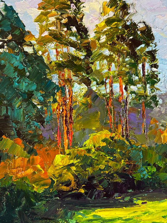 Forest Path to the City