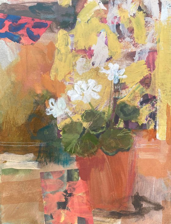 Geranium I