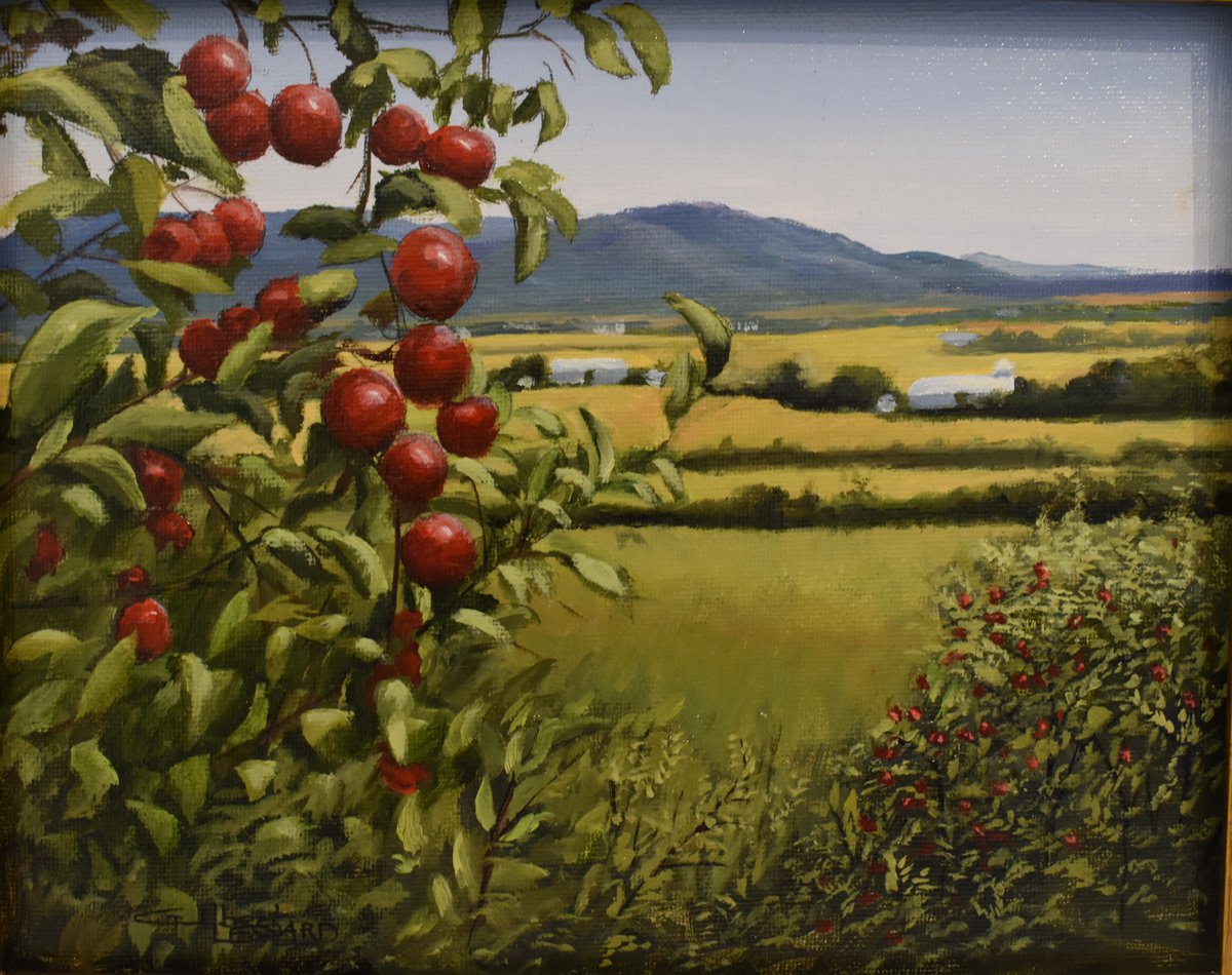 Rougemont Cider Apple Orchard by Gilbert Lessard