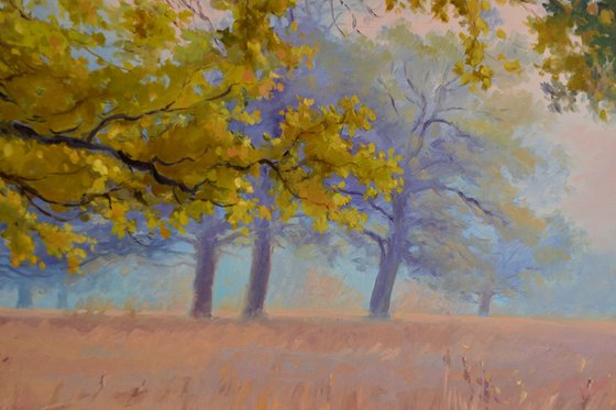 Autumn in an oak grove
