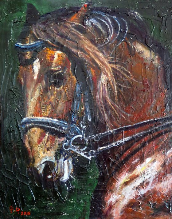 A Horse Portrait 2